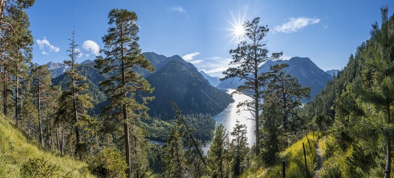 Hiking trail to Sch&ouml;nj&ouml;chl, sun shining through light pine forest, Plansee with mountains, Tyrol, Austria