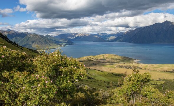 View of Lake Hawea, lake and mountain landscape, view from the hiking trail to Isthmus Peak, Wanaka, Otago, South Island, New Zealand