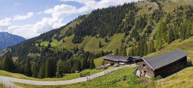 Karsegg-Heimalm alpine pasture, Grossarltal, Salzburg, Austria, Europe