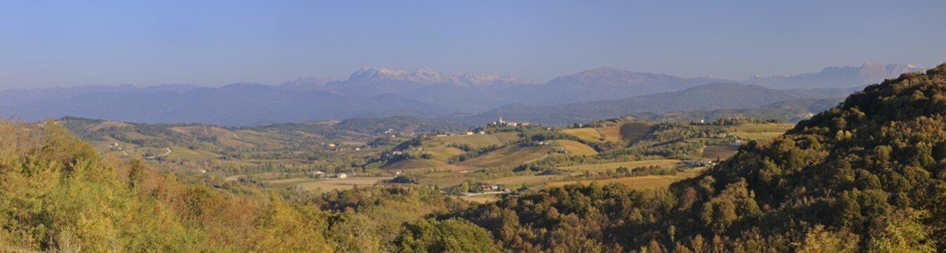 View over vineyards to the north, Julian Alps in the back, Cormons, Friuli, Italy, Europe