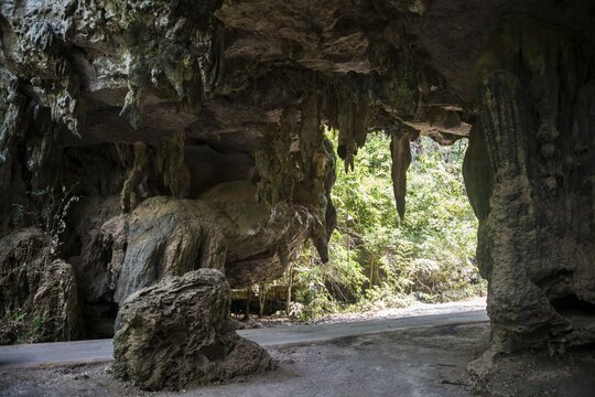 Road through jungle stalactite cave, Taman Negara, Jerantut, Pahang, Malaysia