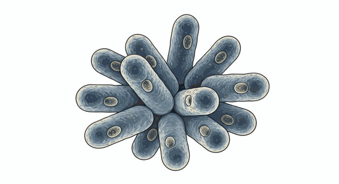 Microscopic view of bacilli bacteria cluster vector illustration