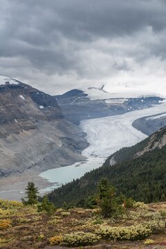 View in valley with glacier tongue, Parker Ridge, Saskatchewan Glacier, Athabasca Glacier, Jasper National Park National Park, Canadian Rocky Mountains, Alberta, Canada