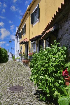 Narrow cobble street with flowers and old stone houses, Trancoso, Serra da Estrela, Portugal
