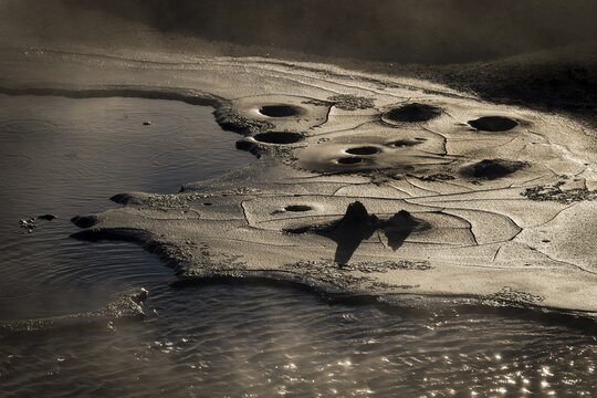 Boiling mud, high temperature area N&aacute;maskar&eth; or Namskard, N&aacute;mafjall, M&yacute;vatn or Myvatn, Northern Iceland, Iceland