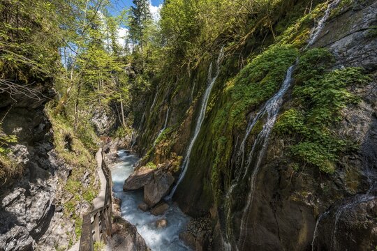 Wodden boardwalk leads along the Wimbach river through the Wimbach Ravine, Wimbachtal, Ramsau near Berchtesgaden, Berchtesgaden area, Upper Bavaria, Bavaria, Germany