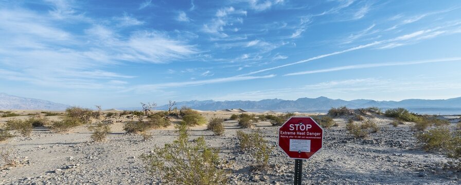 Sign lettering "STOP Extreme Heat Danger" warning of heat, Creosote Bushes (larrea tridentata) in the Mesquite Flat Sand Dunes, Death Valley, Death Valley National Park, California, USA