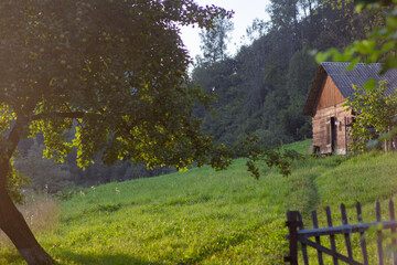 Old wooden barn on green hill apple tree rustic landscape carpathians © Stanislav