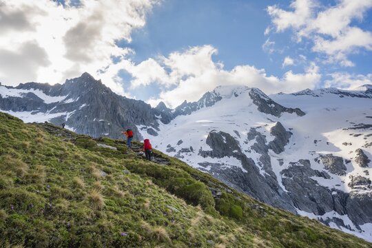 Snow field, hikers in front of snow-covered mountain peaks, ascent to Sch&ouml;nbichler Horn, Furtschaglspitze and Gro&szlig;er M&ouml;seler, Furtschaglkees glacier, Berliner H&ouml;henweg, Zillertal Alps, Zillertal, Tyrol, Austria