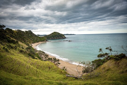 Beach and bay Daisy Bay, Northland, North Island, New Zealand