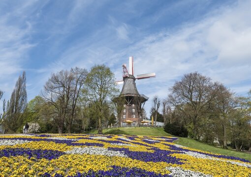 Colorful flowerbeds with windmill and ramparts, springtime, Bremen, Germany