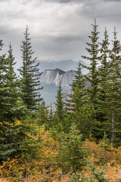 Striking mountain range, Ashlar Ridge, Ashlar Ridge, Jasper National Park, British Columbia, Canada