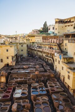 Worker dyeing leather, basin with paint, dyeing, tannery Tannerie Chouara, tanner and dyer quarter, Fes el Bali, Fes, Morocco