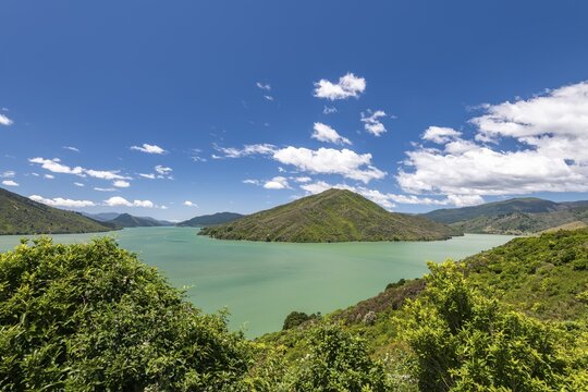 View from Cullen Point Lookout to Mahua Sound, Havelock, Marlborough Region, Marlborough Sounds, South Island, New Zealand