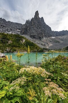 Turquoise-green Sorapis Lake, Lago di Sorapis and mountain top Dito di Dio, Dolomites, Belluno, Italy
