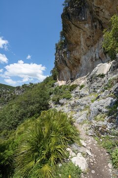 Footpath, The Green Gorge, Garganta Verde, Sierra de C&aacute;diz, Cadiz, Spain