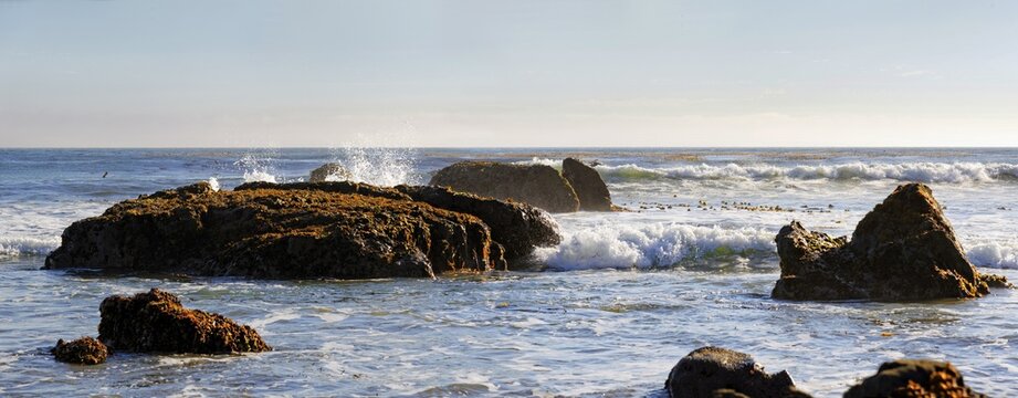 Rocks in the surf with brown algae (Phaeophyceae), Pacific Coast, Cambria, California, United States