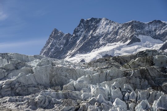 Glacier field, glacier Unteres Eismeer and summit of Finsteraarhorn, hike to Schreckhornh&uuml;tte, Jungfrau region, Grindelwald, Canton Bern, Switzerland