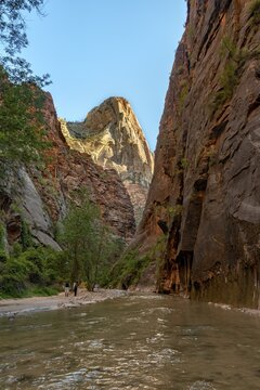 The Narrows, Virgin River, steep walls, Zion Canyon, Zion National Park, Utah, USA