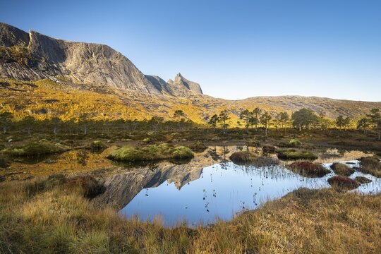 Mount Kulhornet reflected in small pond, Efjord, Tysfjord, Ofoten, Nordland, Norway