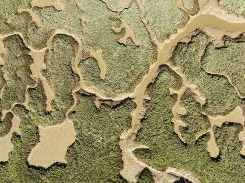 Network of channels and streams at low tide. In the marshland of the Piedras River. Aerial view. Drone shot. Huelva province, Andalusia, Spain