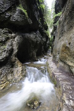 Dolne Diery ravine, Mala Fatra National Park, Slovakia, Europe