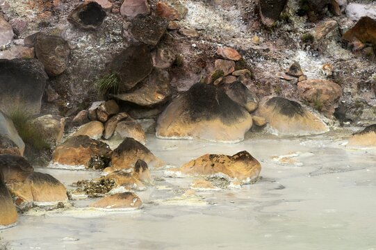 Hot mud springs, Rincon de la Vieja National Park, Guanacaste, Costa Rica, South America