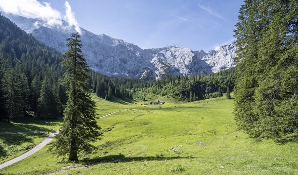 Alpine meadow of the Wettersteinalm, in the background feslige mountain peaks of the eastern and western T&ouml;rlspitzen and Wettersteinwand, Schachentorsteig, Wetterstein range, Garmisch Partenkirchen, Bavaria, Germany