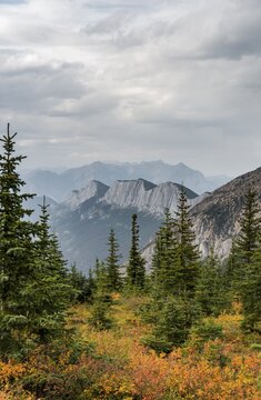 Striking mountain range, Ashlar Ridge, in autumn, Miette Hotsprings, Jasper National Park, British Columbia, Canada