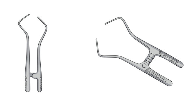 Pair of surgical retractors are used in medical operations to hold back tissue or organs, providing clear access for the surgeon.