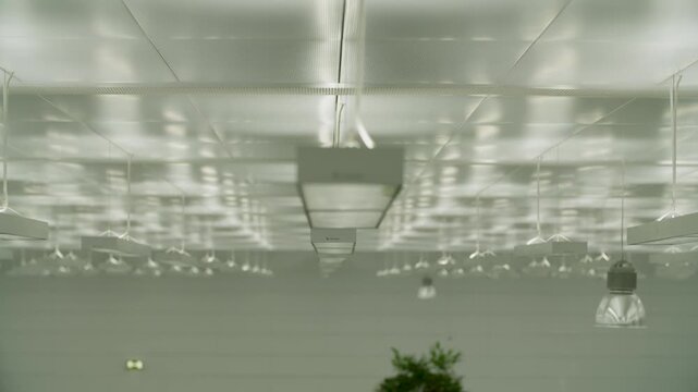 Suspended Lighting and HVAC Units on Modern Office Ceiling Interior
