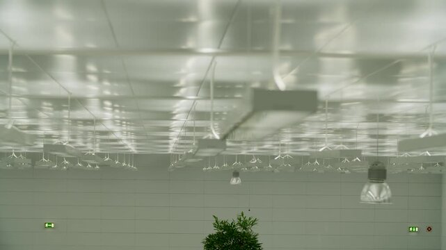 Modern Ceiling with Reflected Lights and Indoor Plant in Contemporary Interior