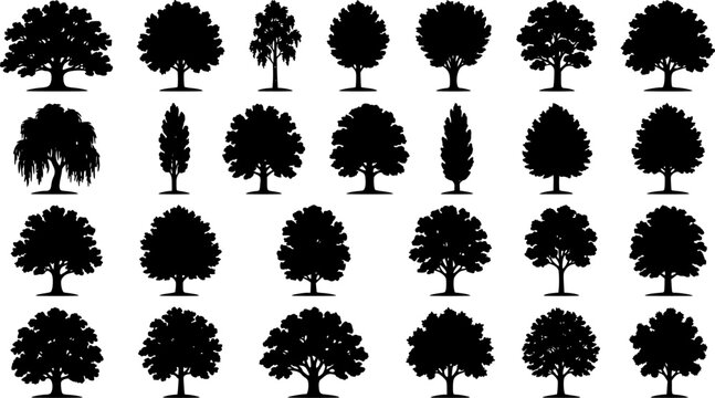 various deciduous trees silhouettes on the white background. vector set. PNG white background
