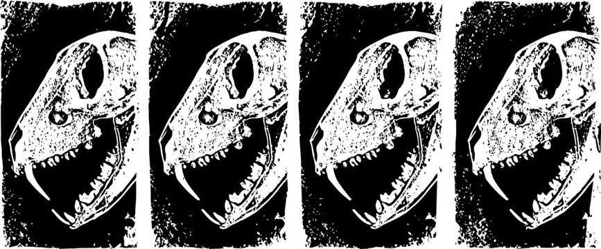 detailed black and white illustration of a snake skull with sharp teeth and prominent eye sockets