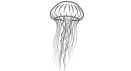 Elegant black and white illustration of a graceful jellyfish on white background © irul