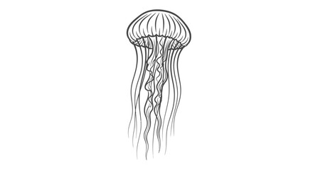 Elegant black and white illustration of a graceful jellyfish on white background © irul