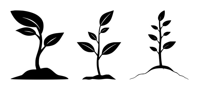Plant sprout icon set with solid black silhouette illustration featuring finance, growth, flora with minimalism and simplicity