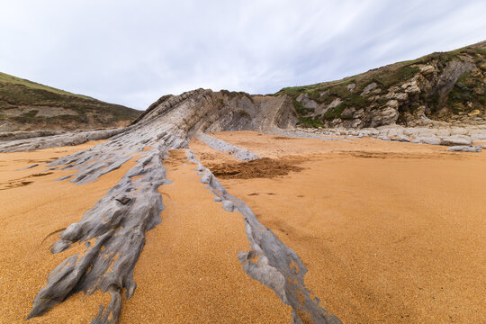 Unusual geological rock formations on Tagle Beach resembling giant octopus tentacles emerging from the sand. Tagle, Suances municipality, Cantabria, Spain.
