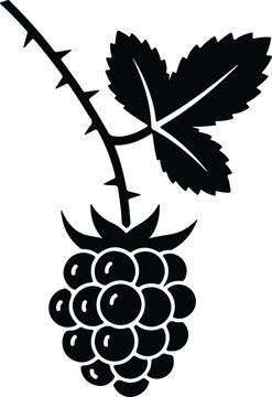 Silhouette vector illustration of a ripe fresh blackberry fruit design