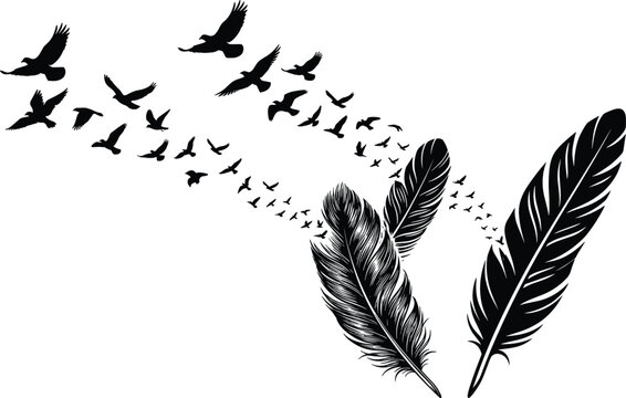 Birds of a Feather Conceptual Silhouette Illustration Showing Feathers Transforming into a Flying Flock of Birds for Tattoos, Wall Decals, and Symbolic Inspirational Graphic Designs