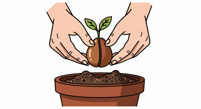Hands planting a seed with sprouts in a pot of soil