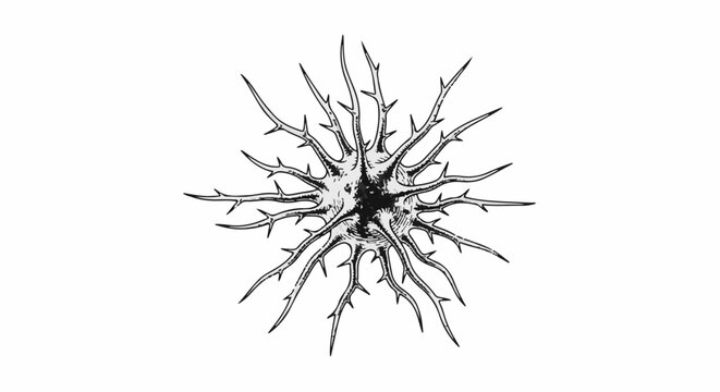 Ink drawing of a thorny, starburst-like biological cell or organism