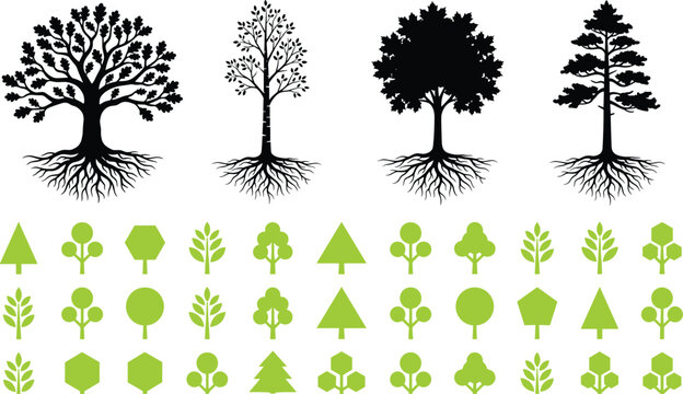 Tree silhouette vector set, black rooted trees with oak maple pine, green nature icons, eco environment design collection, forest timber,