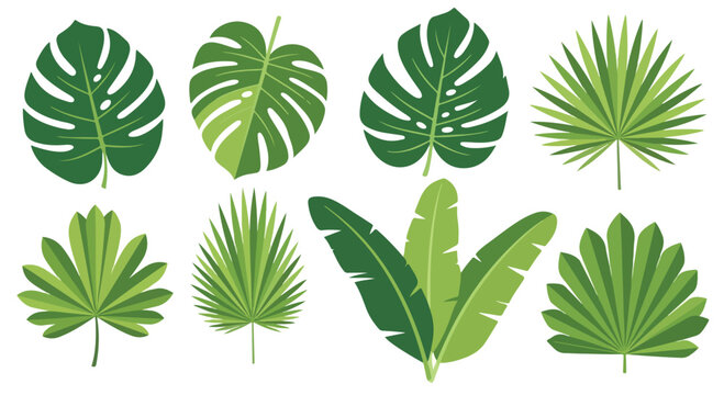 Vibrant collection of tropical green palm leaves monstera banana fronds and fan plants in flat vector style