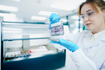 Fototapeta premium Pathological technician holding biopsy slide rack for quality inspection in clinical lab. Medical scientist preparing tissue sections for microscopic oncological diagnosis.