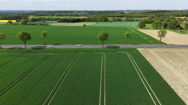 Aerial view of a country road separating lush green fields with cars driving by