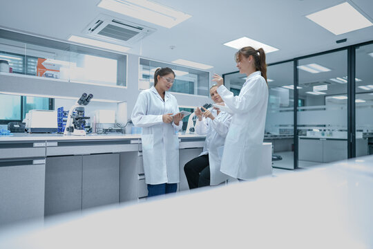 Diverse biotech research team analyzing experimental data metrics on digital tablet. Female scientists discussing strategic r&d protocols in modern laboratory.