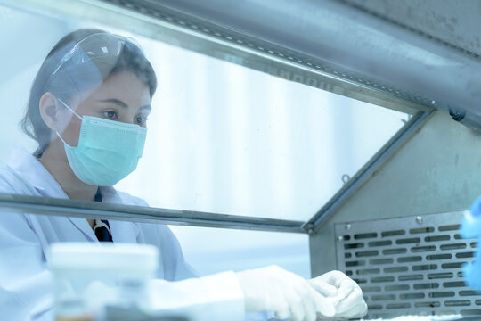 Clinical embryologist manipulating gamete specimens for in vitro fertilization (ivf) procedure. Reproductive scientist examining oocyte quality in sterile laboratory hood.