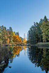 Obraz premium Swedish river and natural salmon area in autunn. Farnebofjasrden national park in north of Sweden