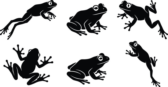   Black Silhouette Set of Frogs and Toads in Various Poses Including Jumping Climbing and Sitting for Nature Wildlife and Pond Environment Graphic Designs